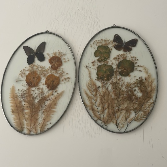 Wall Art dried butterflies and flowers Set of 2 - Picture 2 of 9
